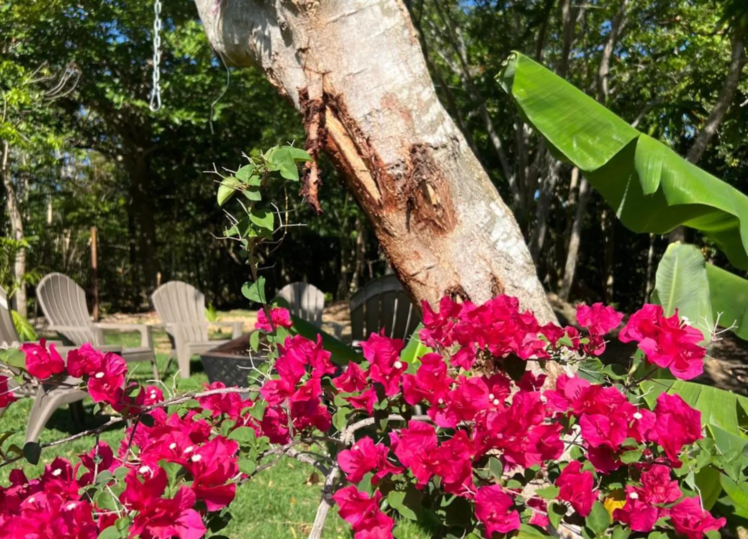 Casita Antonia Vila Aguadilla 0*,  Porto Rico